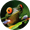 No New Posts