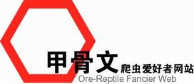 Ore-Reptile