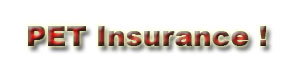 Pet Insurance