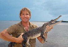 Steve Irwin – The Crocodile Hunter Passed Away