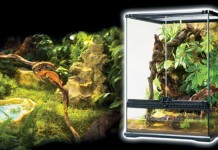 Reptile Cage Making Tips
