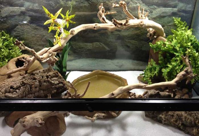snake-vivarium-idea